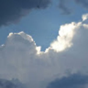 Meet your Posher, Eva